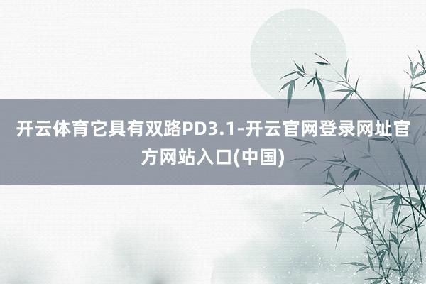 开云体育它具有双路PD3.1-开云官网登录网址官方网站入口(中国)