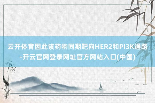 云开体育因此该药物同期靶向HER2和PI3K通路-开云官网登录网址官方网站入口(中国)